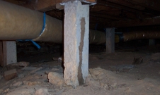 Termite mud tunnel going up concrete stump