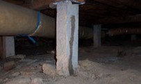 Termite mud tunnel going up concrete stump Termite mud tunnel going up concrete stump