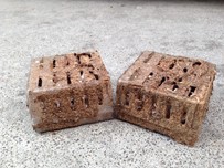 Termite bait station used for termite baiting Termite bait station used for termite baiting