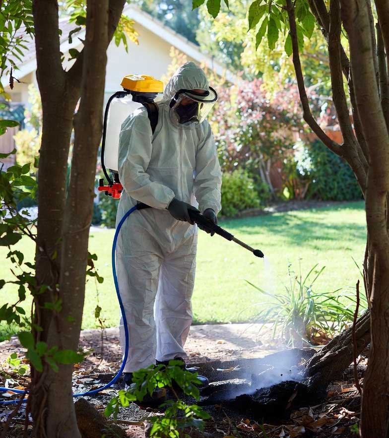termite-treatments2.jpg